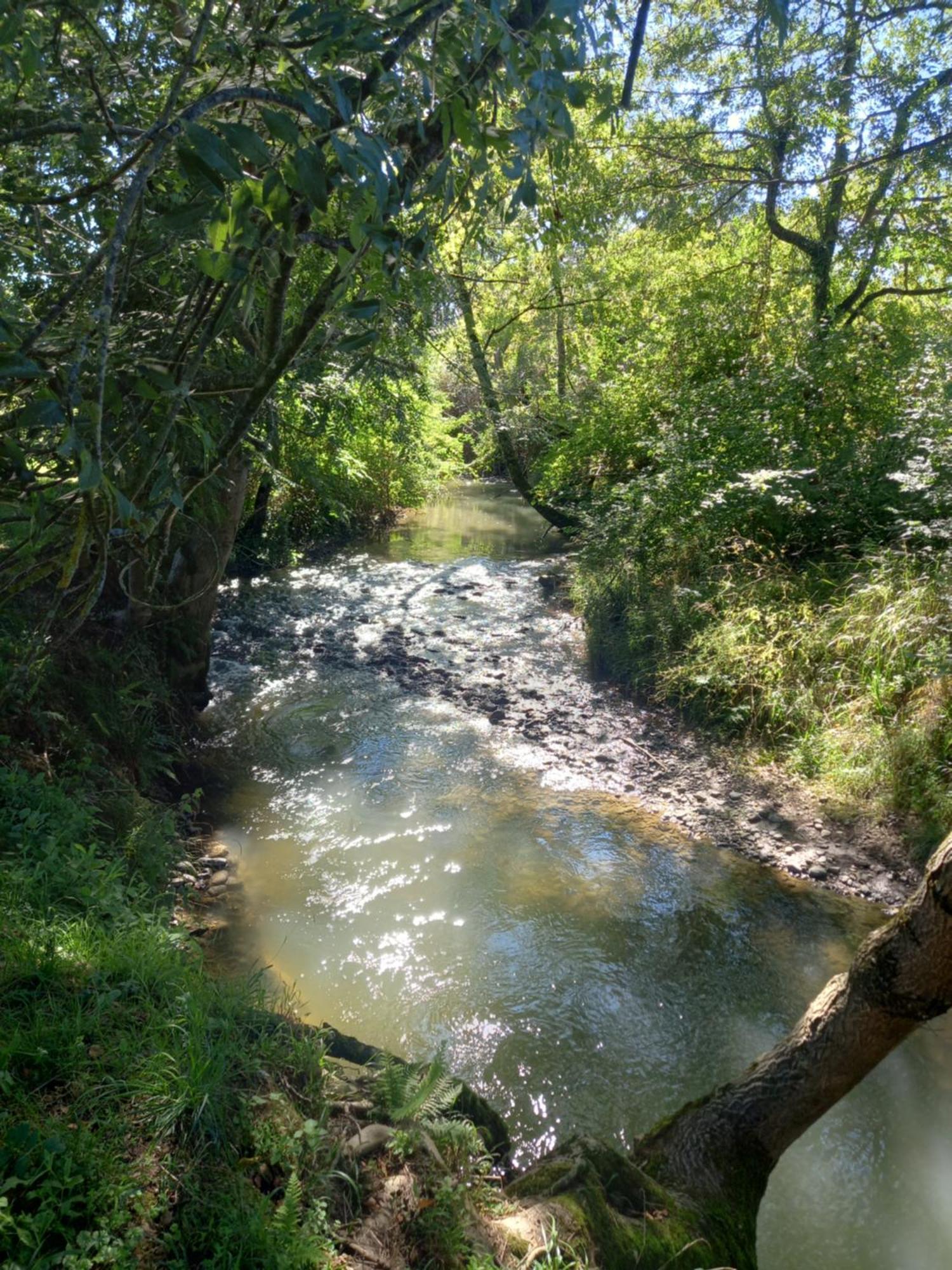 Вилла L'Oasis Des Pyrenees Campuzan Экстерьер фото